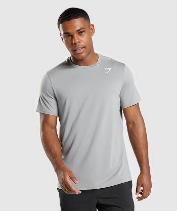 T Shirts Gymshark Arrival Regular Fit Hombre Gris | CO 3357JPQ